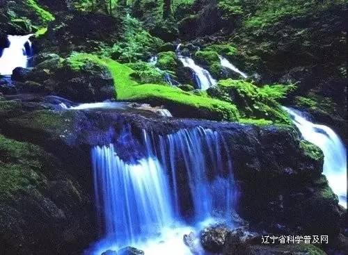 亲爱的金主大人