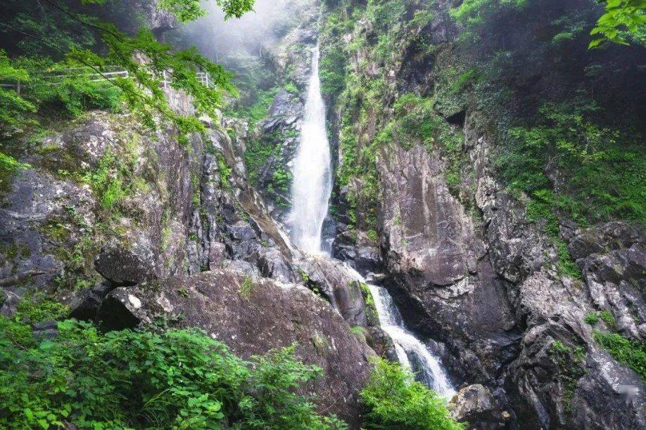 外国人天天吃黄油为啥没事游戏画面