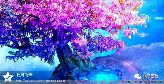 运货车翻翻看